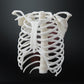 Formlabs - Color Pigment - White (W)