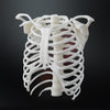 Formlabs - Color Pigment - White (W)