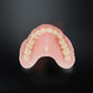Formlabs - Form 4 Denture Base LP Resin 1L